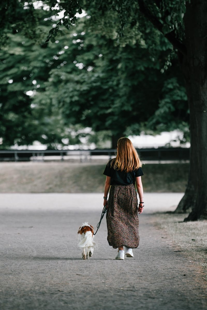 Meditative Walk